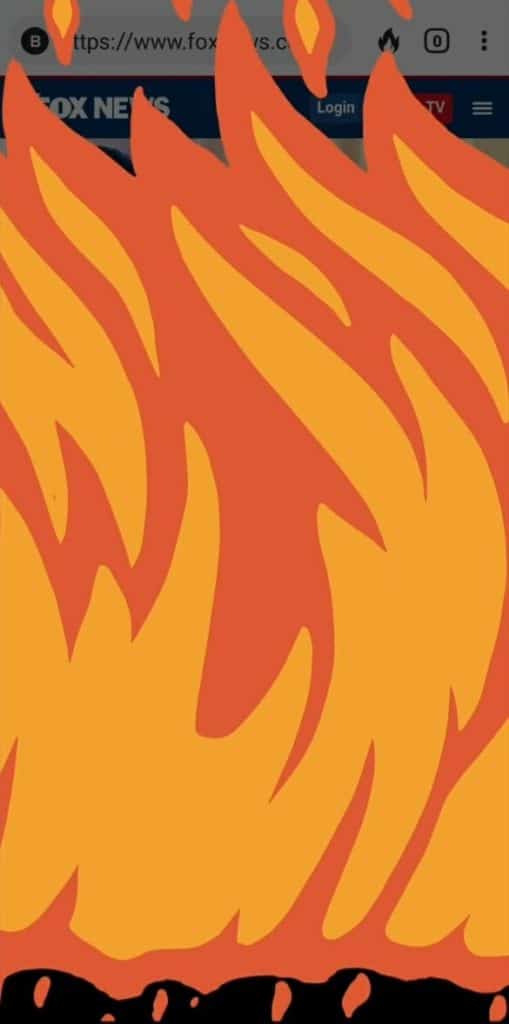 duckduckgo fire button