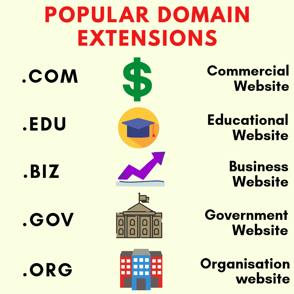 Domain Name and Web Hosting Explained - Beginner’s Guide 5 popular domain extensions