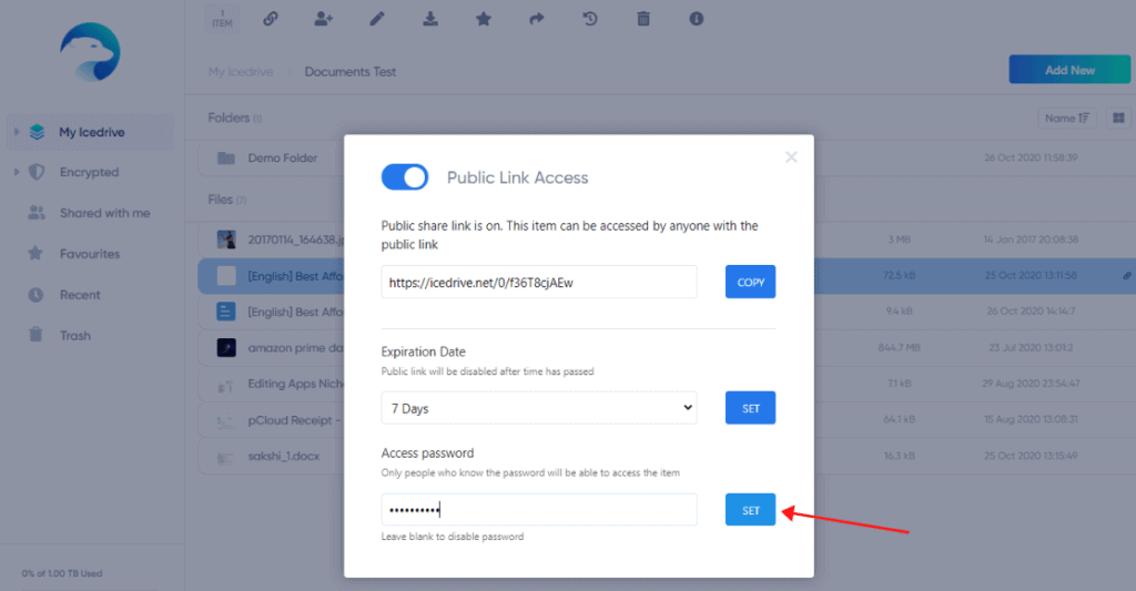 Icedrive Review (2026) - Why I Bought IceDrive? 8 Pros & 5 Cons 15 icedrive public link passcode protection