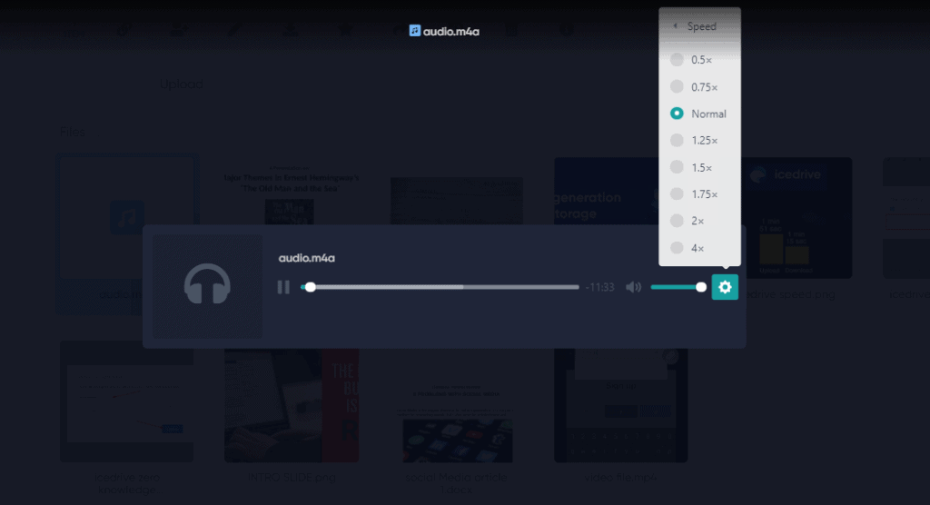 Icedrive Review (2026) - Why I Bought IceDrive? 8 Pros & 5 Cons 20 icedrive playback features