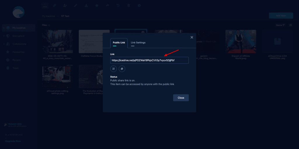 Icedrive Review (2026) - Why I Bought IceDrive? 8 Pros & 7 Cons 9 Icedrive - public link sharing