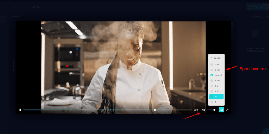 Icedrive Review (2026) - Why I Bought IceDrive? 8 Pros & 7 Cons 11 Icedrive video playback