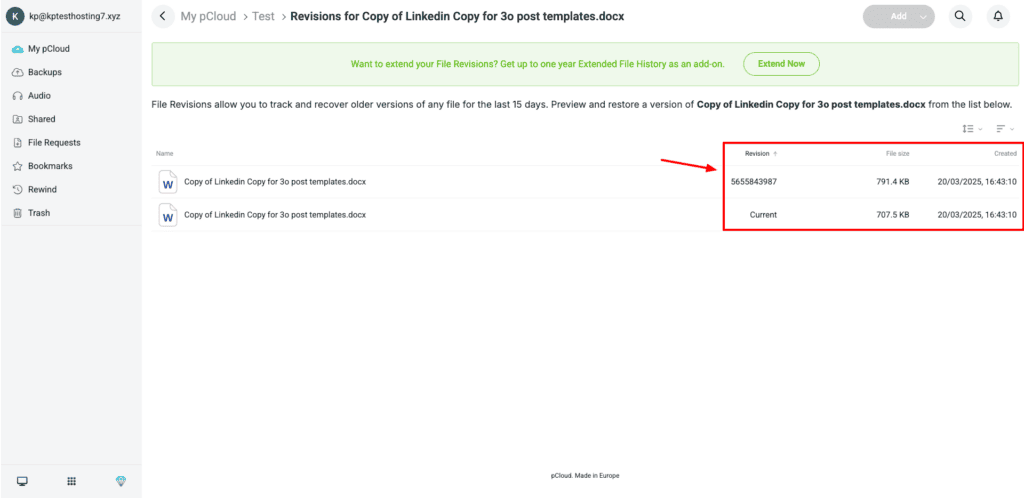 pCloud - File Revisions