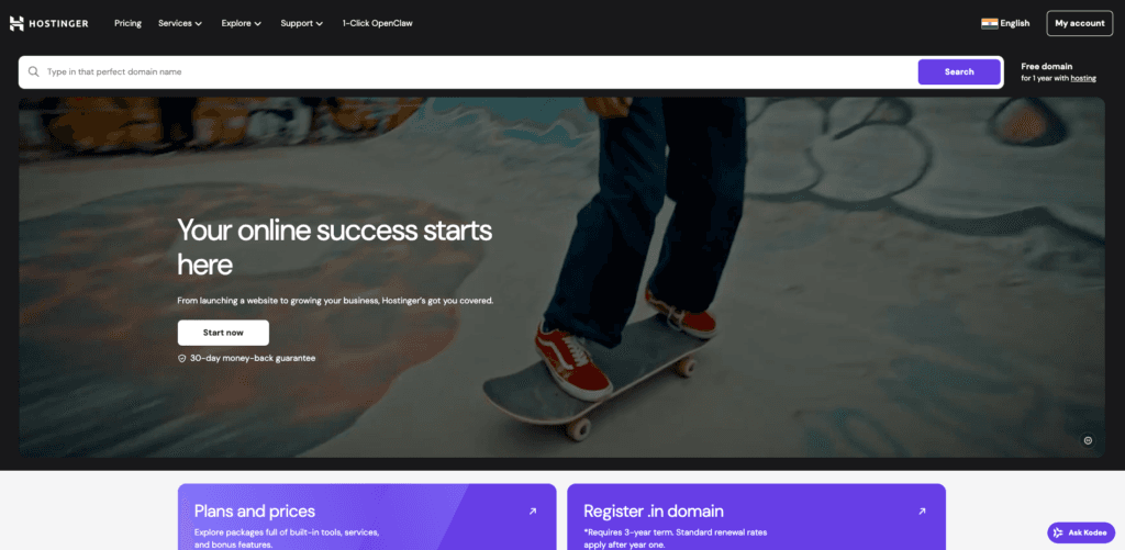 Hostinger home page