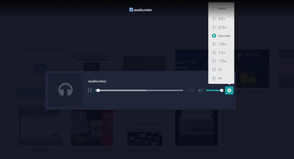 icedrive playback features