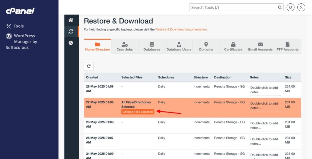 HostArmada Review 2026 - How They've Changed (After 3 Years) 14 HostArmada backups