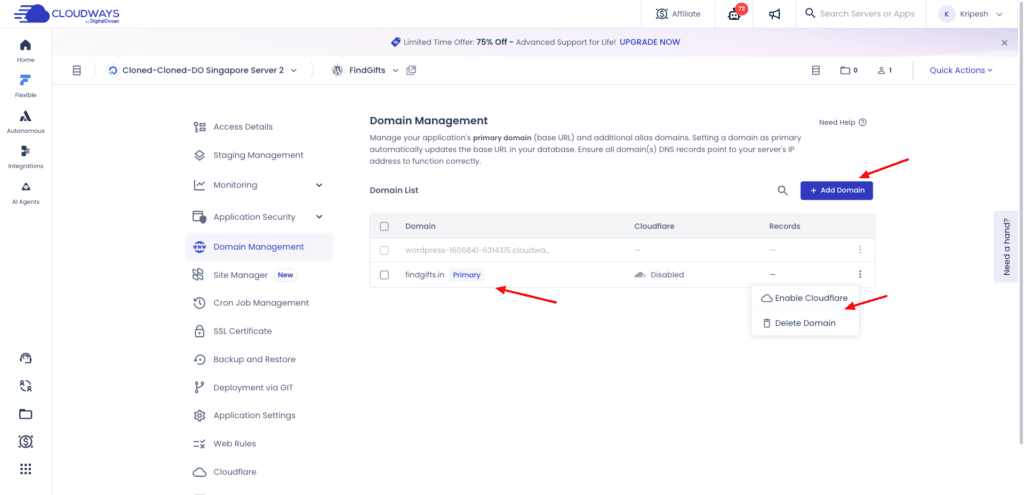 Cloudways Review July 2026 - Best Managed Hosting?? 9 Cloudways Domain Management