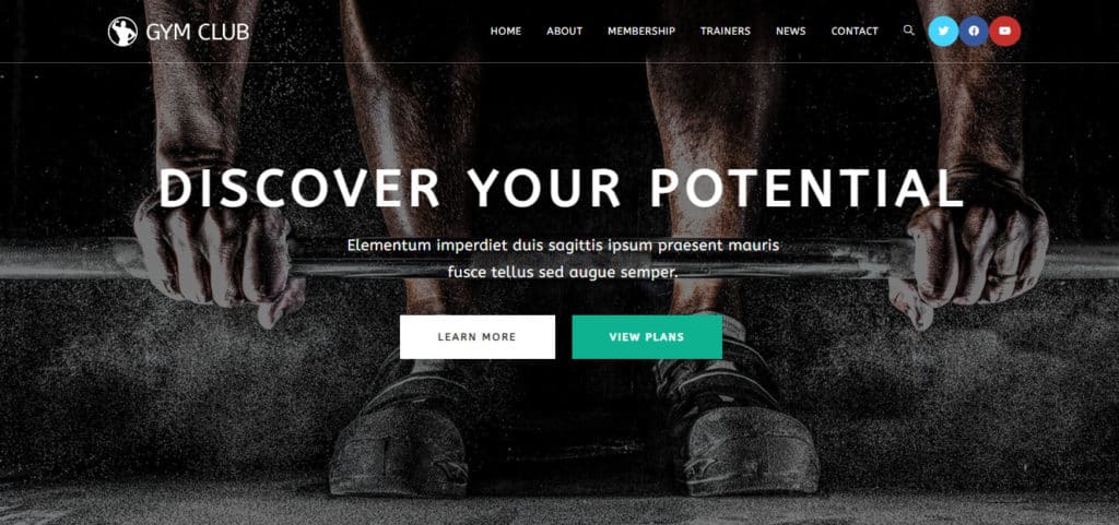 ChemiCloud Review November 2025 - Value For Money Host 4 Testing parameters site homepage