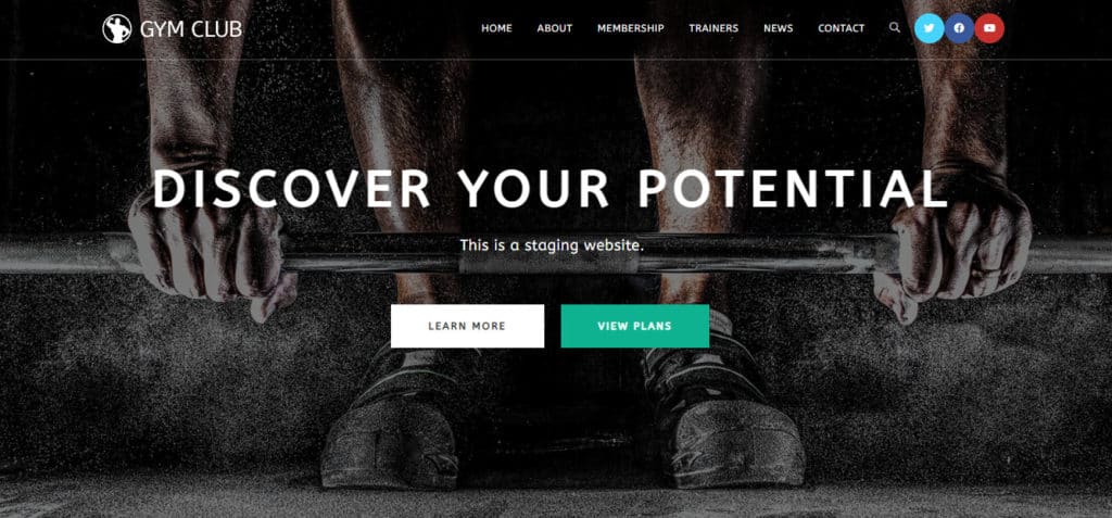 Testing website homepage