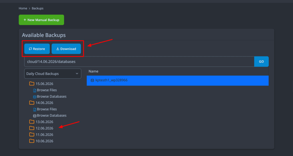 Scala Hosting - backups

