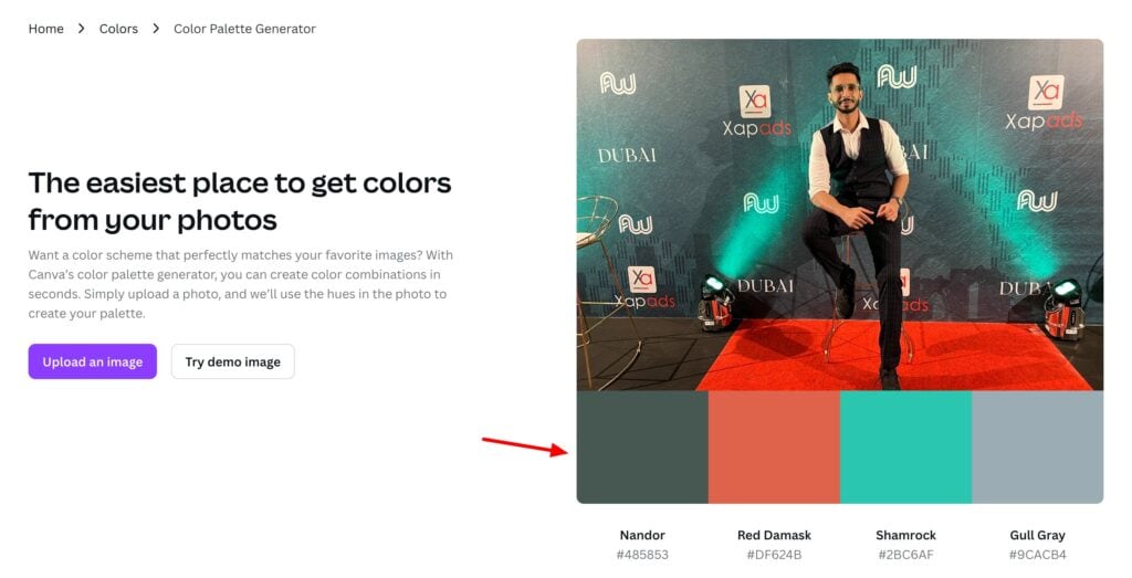 15 Best Color Picker Tools (2026) - Color Palette Tools For Designers & Developers 13 Canva color palette generator