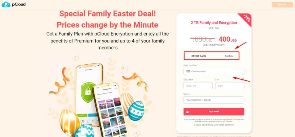 pCloud Coupon Codes and Discounts (2025) 5 Adding card details on pCloud