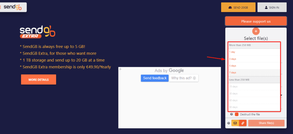 Link Expiry on SendGB