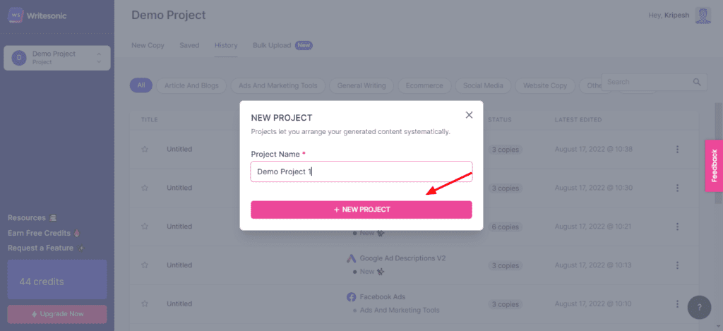 Writesonic Review (2026) - Is it Accurate & Cheap? 5 Creating a project in Writesonic