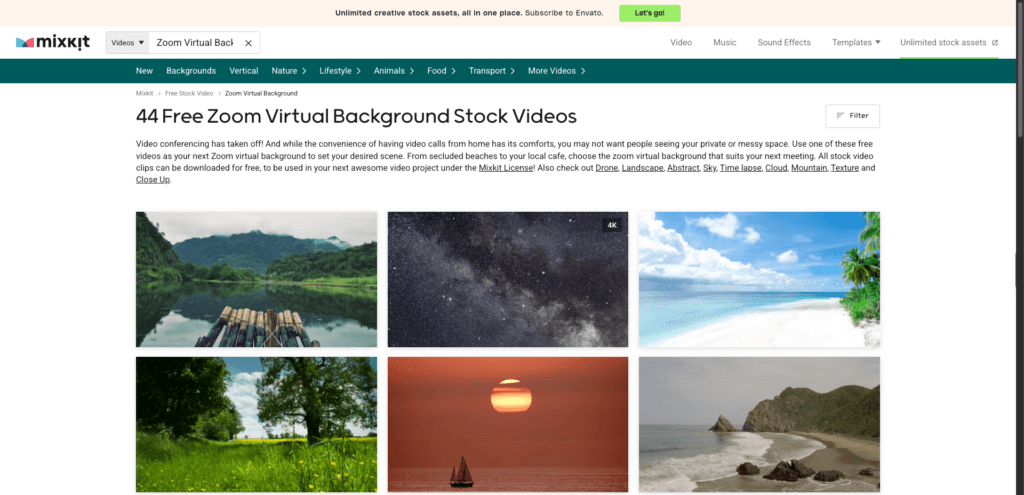 Mixkit Zoom backgrounds
