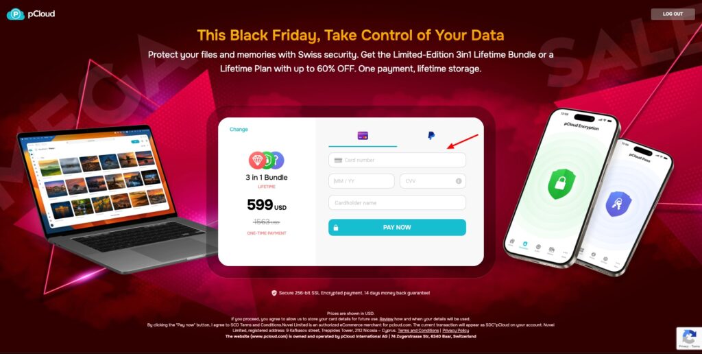 pCloud BF deal - payment methods