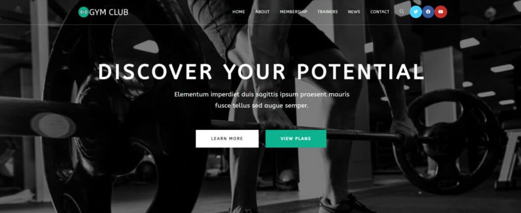 Best Web Hosting for Small Business (2026) 21 Test Website