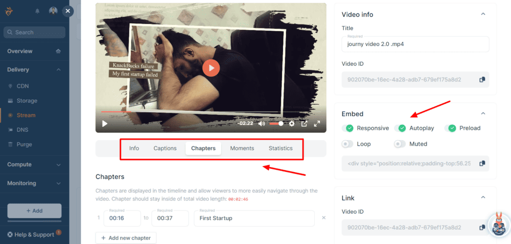 Bunny Stream - customizable player