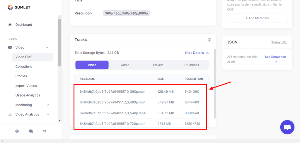 Gumlet video encoding formats