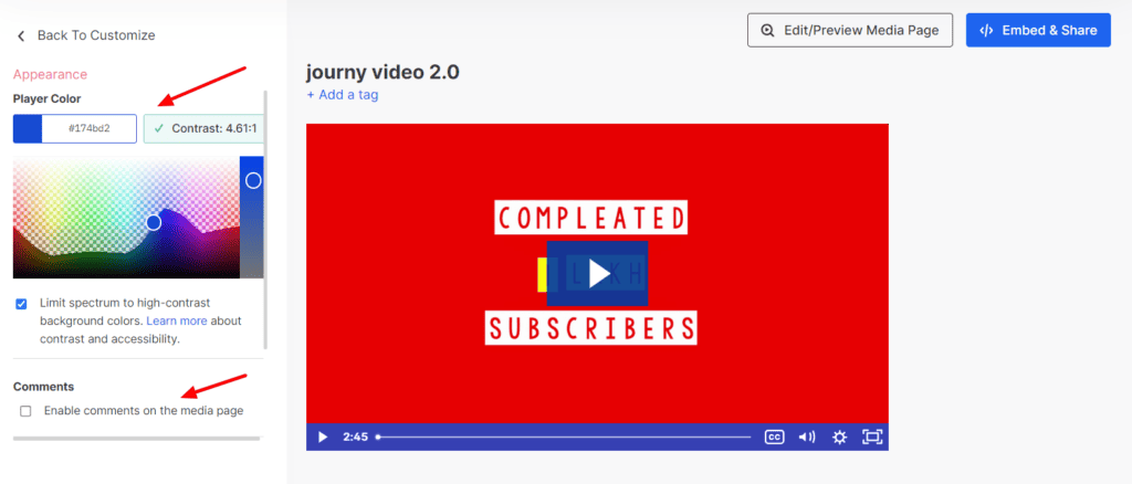 Wistia - Player customization