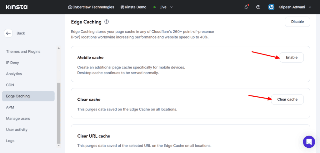 Kinsta Review 2026- Is the Expensive Price Worth the Hype? 7 Kinsta Cache Settings