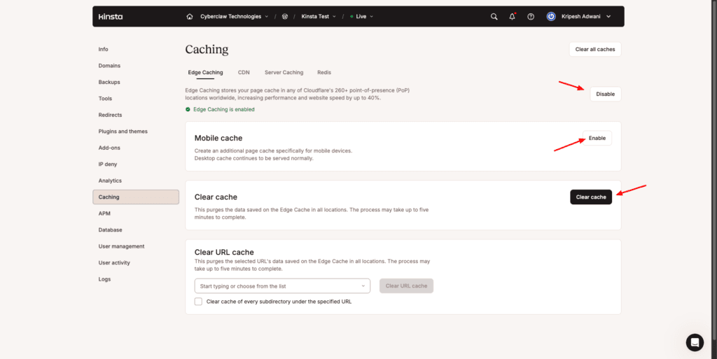 Kinsta cache settings
