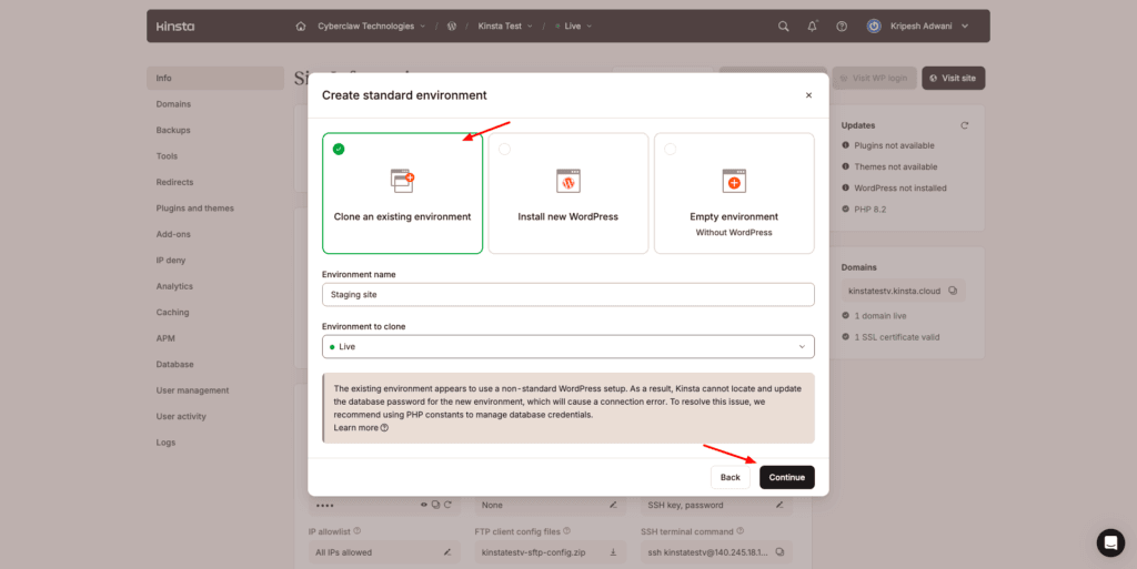 Kinsta - website staging
