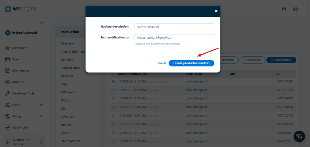 WP Engine Review (November 2025) - Overrated Service? 10 WP Engine Backups