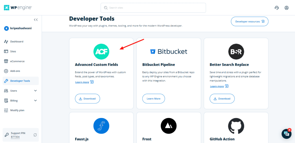WP Engine Review (November 2025) - Overrated Service? 21 WP Engine Developer Tools
