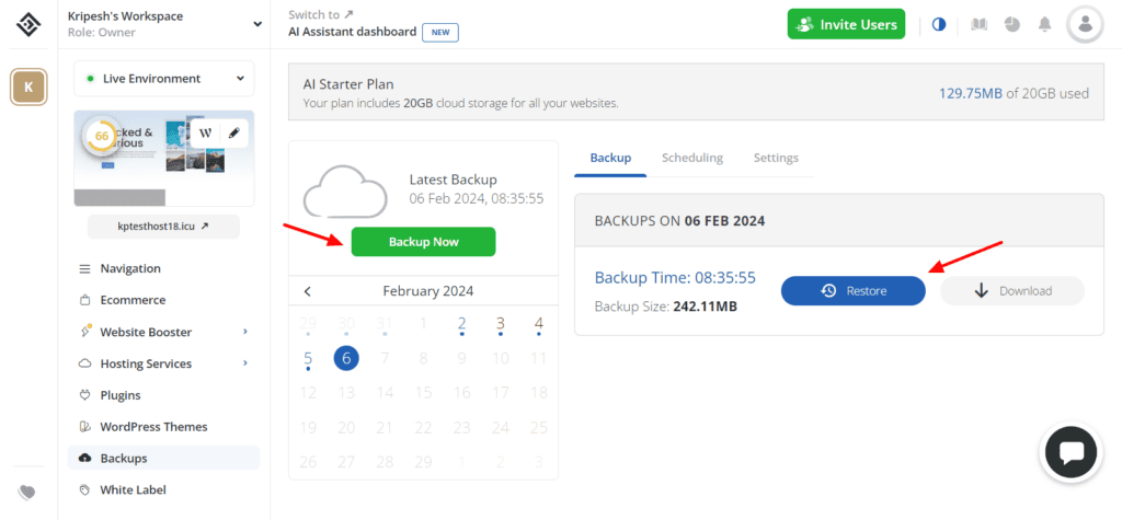 10Web Backups and Restoration