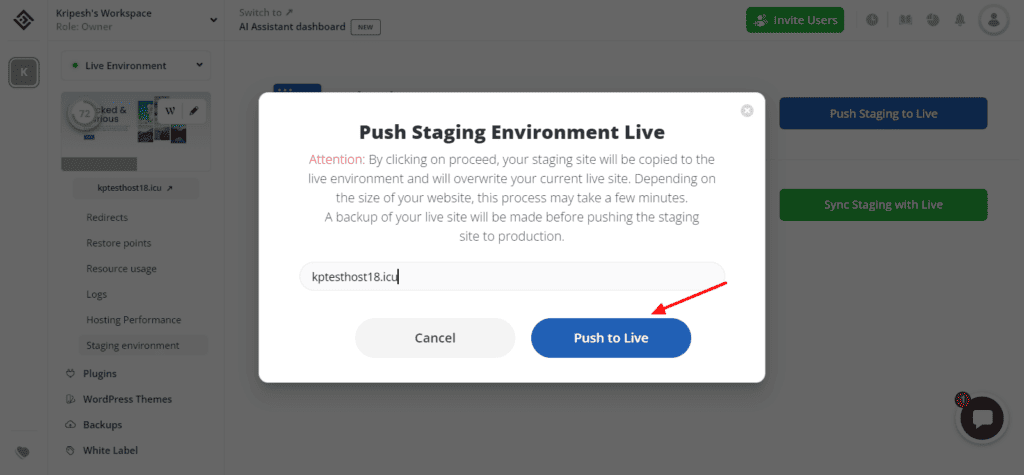 10Web website staging