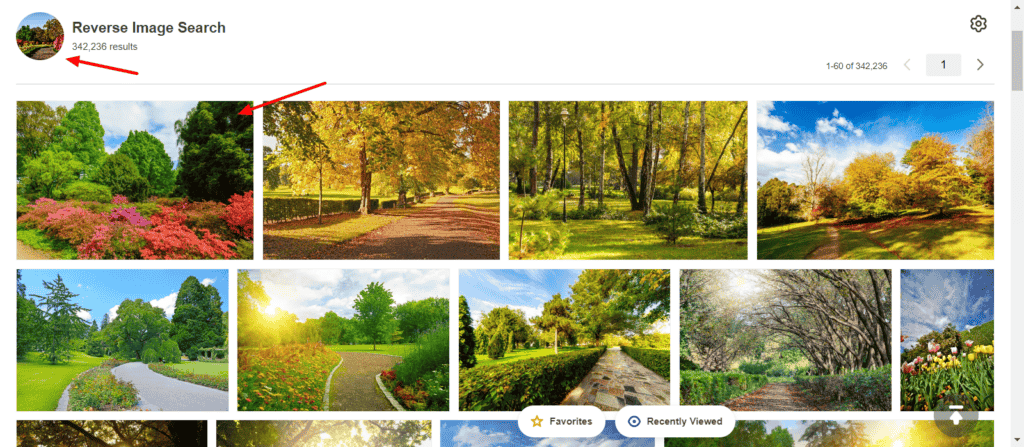 Depositphotos Reverse Image Search