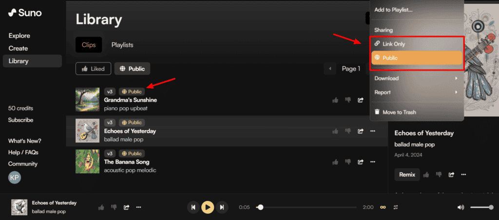Suno AI Review (2026) - How To Use Suno AI 8 Suno AI sharing
