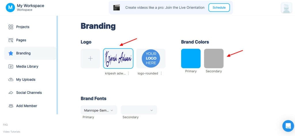 BigVu Custom branding