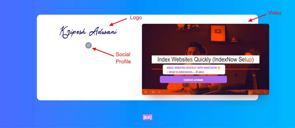 BigVu Landing page