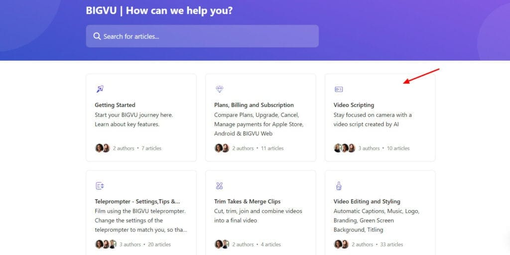 BigVu customer support