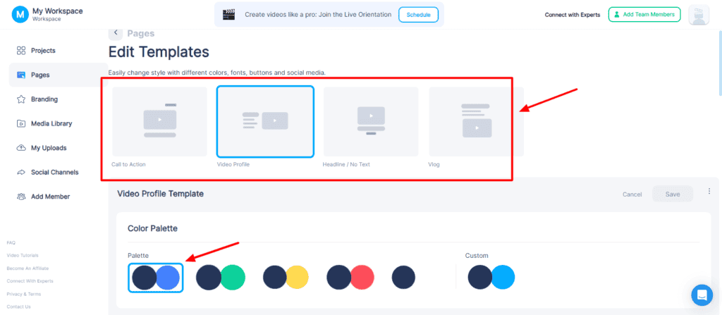 BigVu video landing page generator