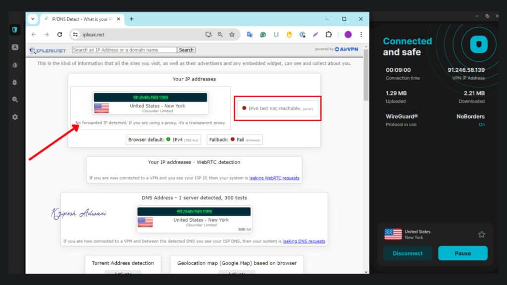 DNS Leak Test Result