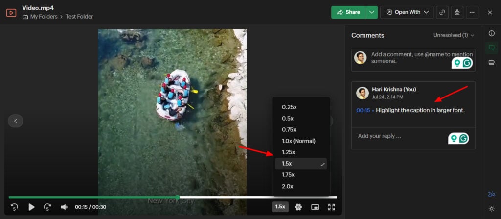 Zoho WorkDrive Review - Better Than Google Drive? 4 Zoho WorkDrive - Video Playback
