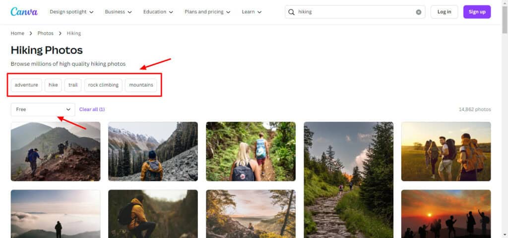Top 17 Sites For Copyright Free Images (2026) - Free Royalty Free Images 7 Canva free images