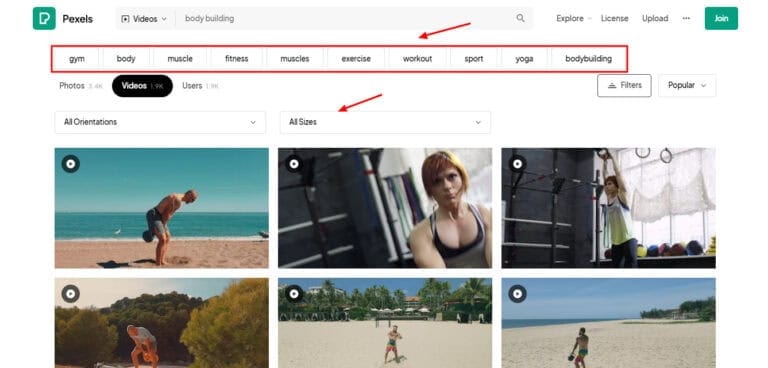 15+ Best Free Stock Videos Websites (No Watermarks) [2026] - Kripesh Adwani