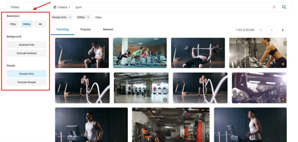 VistaCreate Video Library