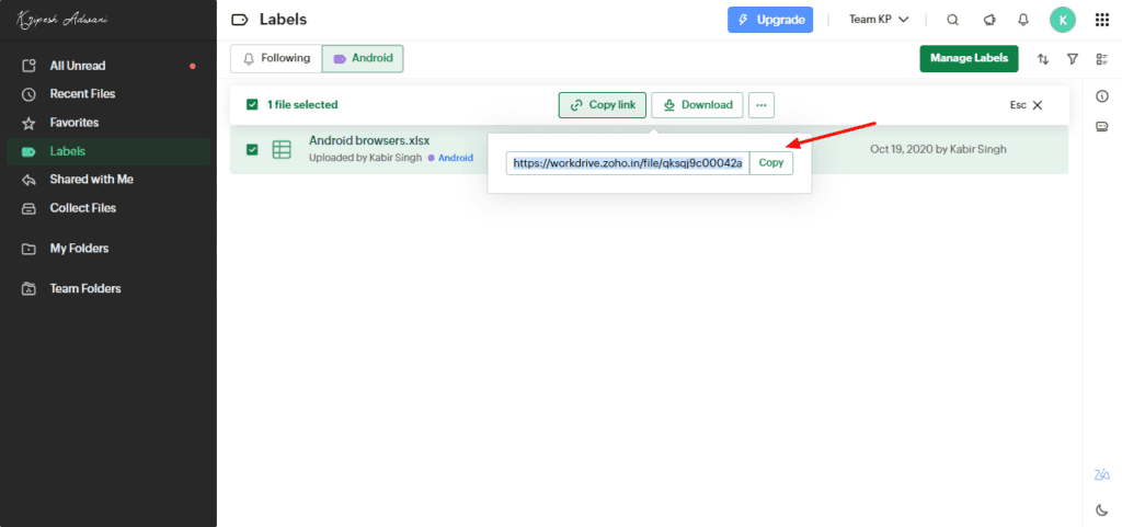 Zoho WorkDrive Review - Better Than Google Drive? 21 Zoho WorkDrive - Team account