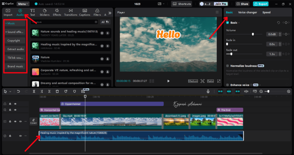 How To Use CapCut in India (2026) 14 8 Add audio