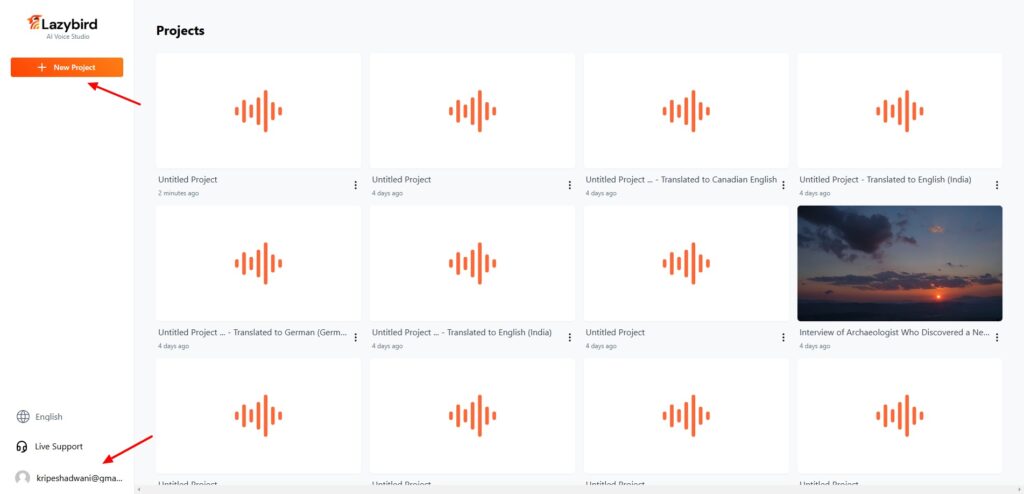 Lazybird AI Review (2026) - The True ElevenLabs Killer? 2 Lazybird user interface