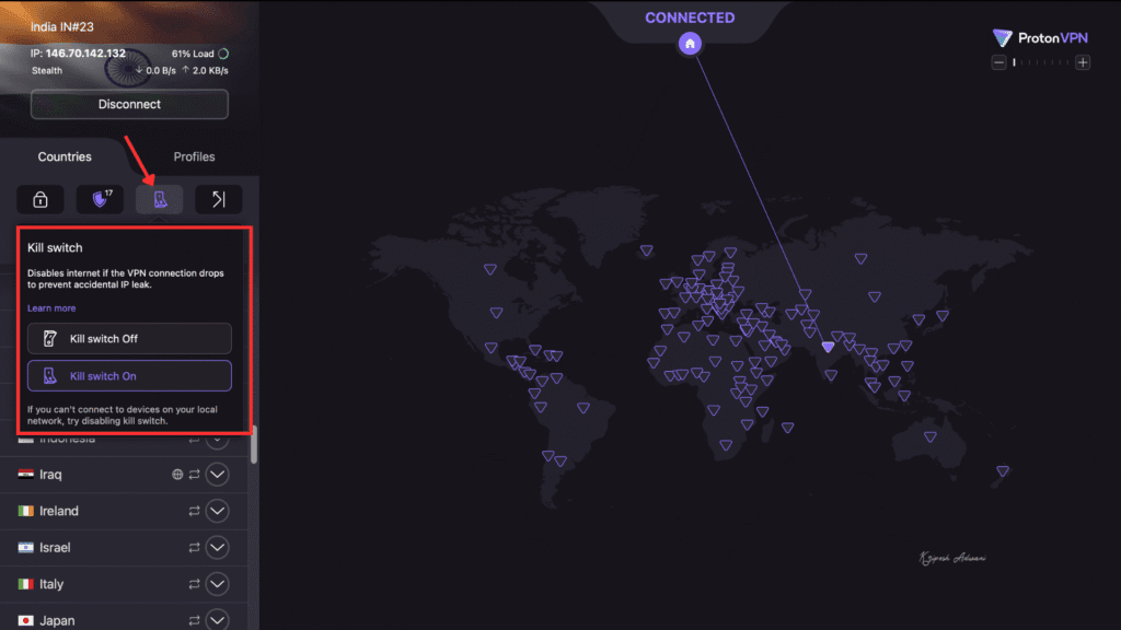 Proton Kill switch option

