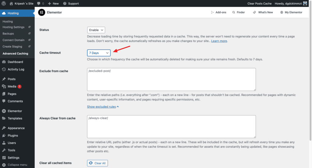 Elementor Hosting Review (2026) - Really The Best Hosting For Elementor? 7 Elementor hosting - cache