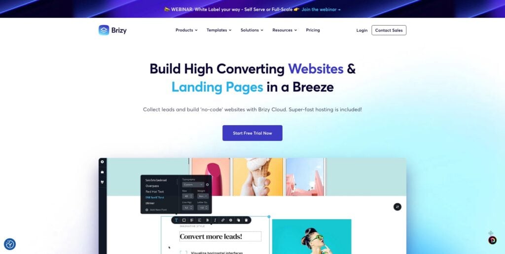 Brizy Cloud Review (2026) - AI Web Builder For Easy & Cheap Websites 1 Brizy Cloud homepage