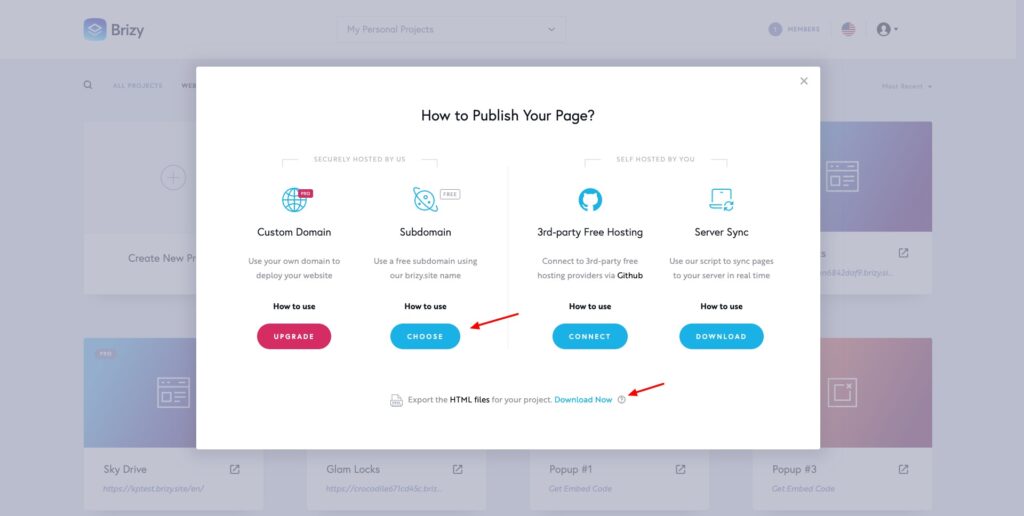 Brizy Cloud Review (2026) - AI Web Builder For Easy & Cheap Websites 6 Brizy Cloud - website publishing