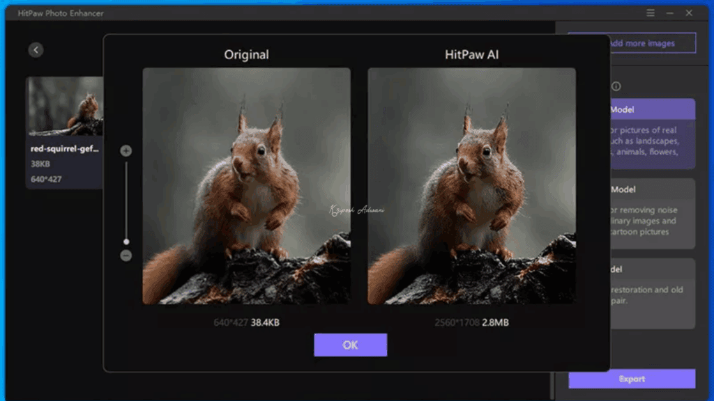 HitPaw Photo Enhancer Upscaling